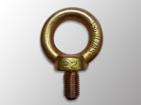 點(diǎn)擊查看詳細(xì)信息<br>標(biāo)題：DIN580 Eye Bolt 閱讀次數(shù)：1299