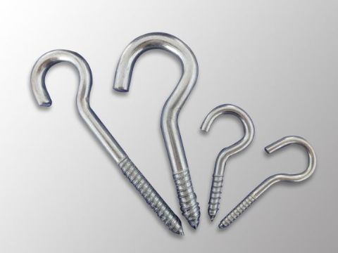 點(diǎn)擊查看詳細(xì)信息<br>標(biāo)題：Eye Bolt 閱讀次數(shù)：1092