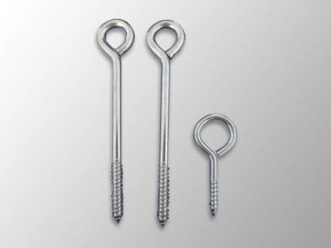 點(diǎn)擊查看詳細(xì)信息<br>標(biāo)題：Eye Bolt 閱讀次數(shù)：1158