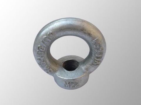 點(diǎn)擊查看詳細(xì)信息<br>標(biāo)題：吊環(huán)螺母 閱讀次數(shù)：2453